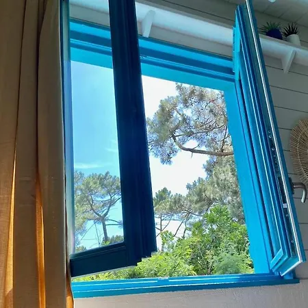 La Maison Bleue *
